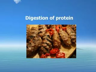 Digestion of protein