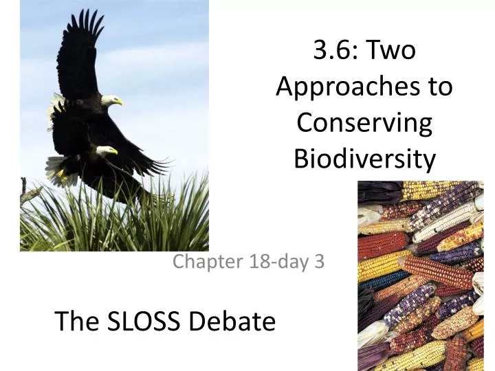 3 6 two approaches to conserving biodiversity