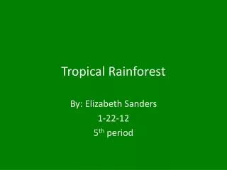 tropical rainforest