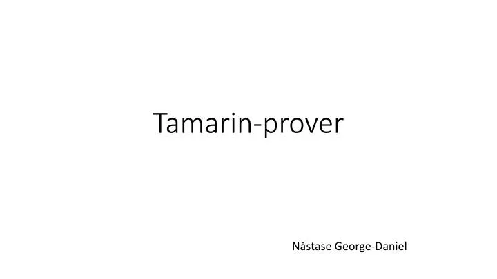 tamarin prover