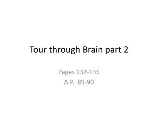 Tour through Brain part 2