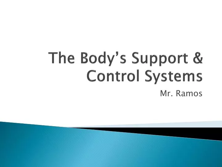 the body s support control systems