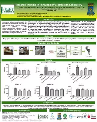 Research Training in Immunology at Brazilian Laboratory