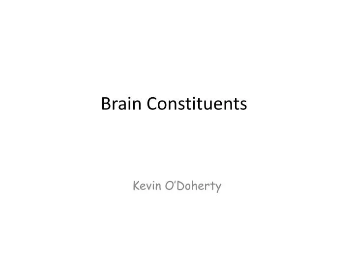 brain constituents