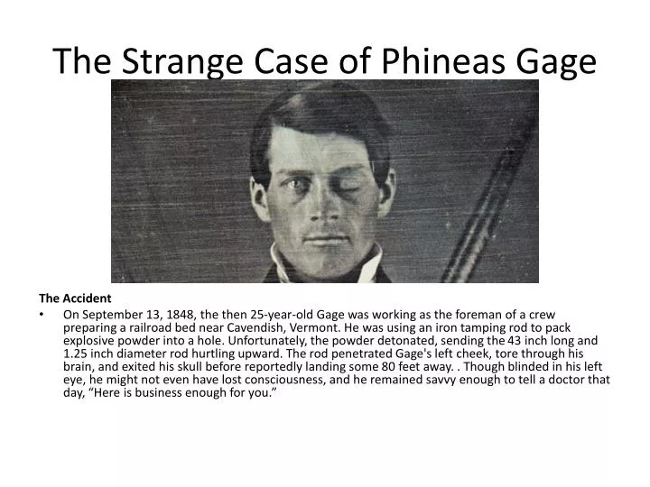 the strange case of phineas gage