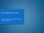 Incredible Animals - slide 1