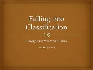Falling into Classification