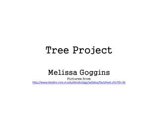 Tree Project