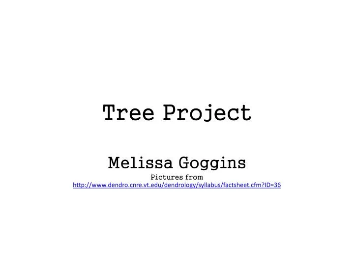 tree project