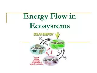 energy flow in ecosystems