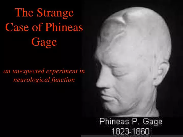 the strange case of phineas gage