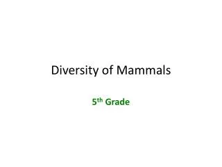 Diversity of Mammals