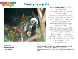tamaryna w sata