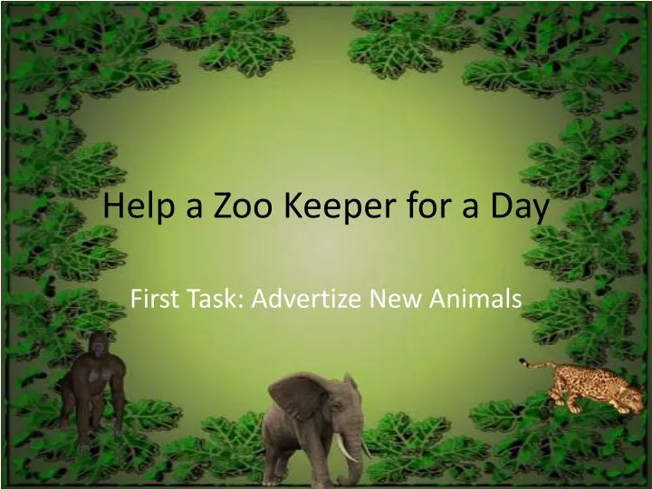 help a zoo keeper for a day