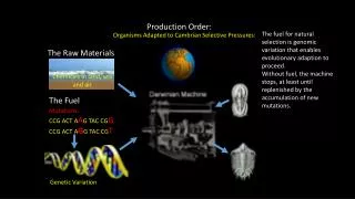 Mutations: CCG ACT A A G TAC CG G CCG ACT A G G TAC CG T