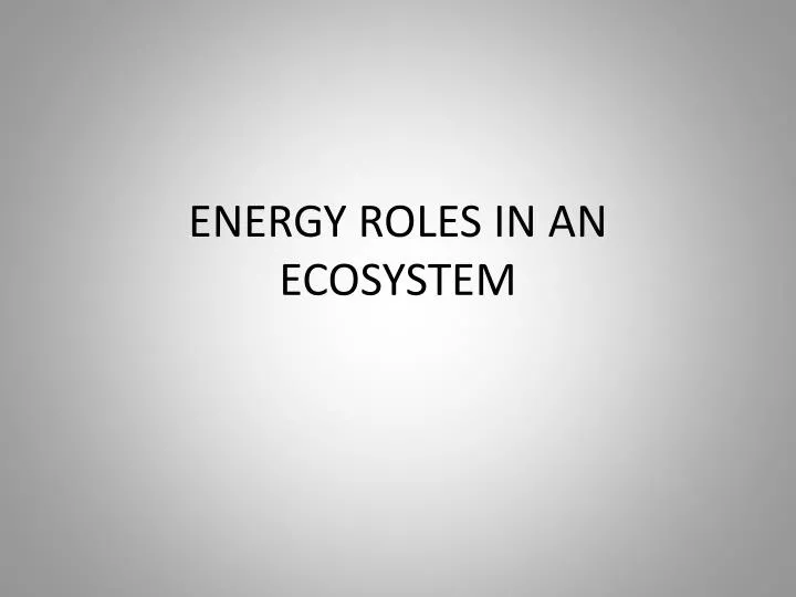 energy roles in an ecosystem