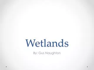 Wetlands