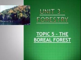 UNIT 3 - FORESTRY