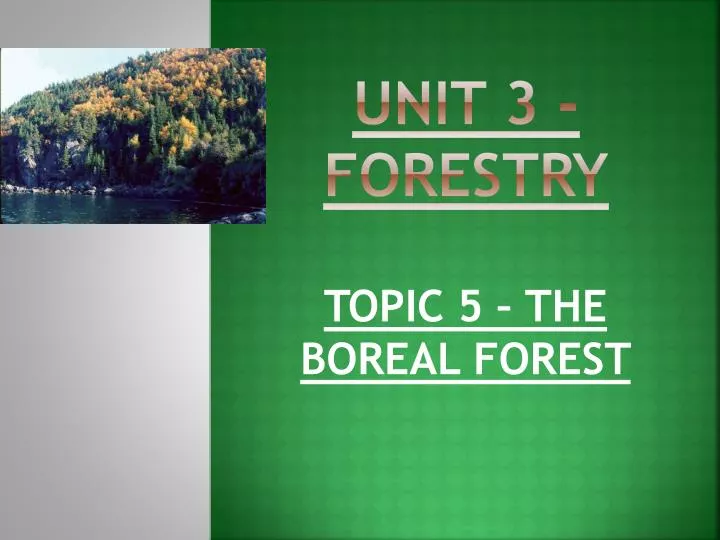 unit 3 forestry