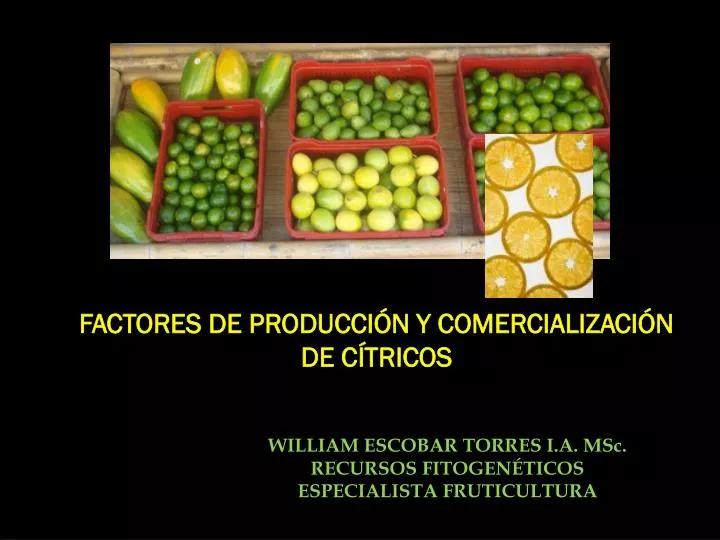 factores de producci n y comercializaci n de c tricos