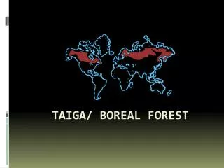 Taiga/ boreal forest