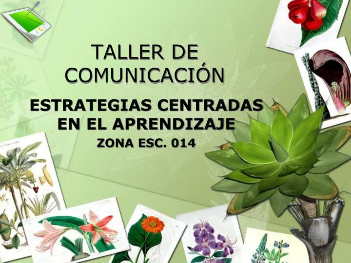 taller de comunicaci n