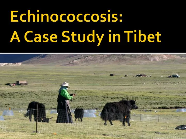 echinococcosis a case study in tibet