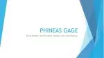 PHINEAS GAGE - slide 1