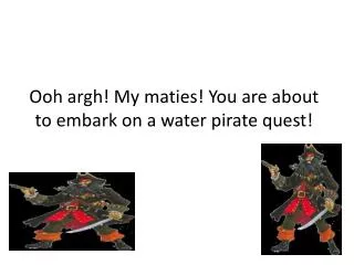 Ooh argh! My maties ! You are about to embark on a water pirate quest!