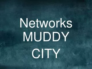 Networks MUDDY CITY