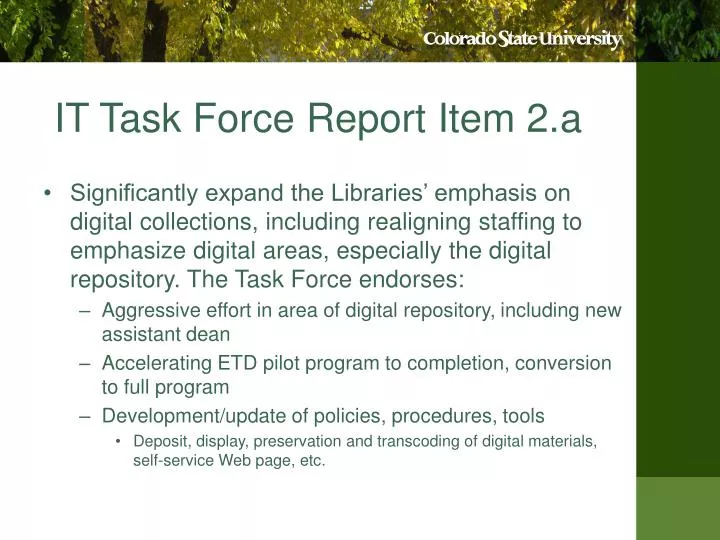 it task force report item 2 a