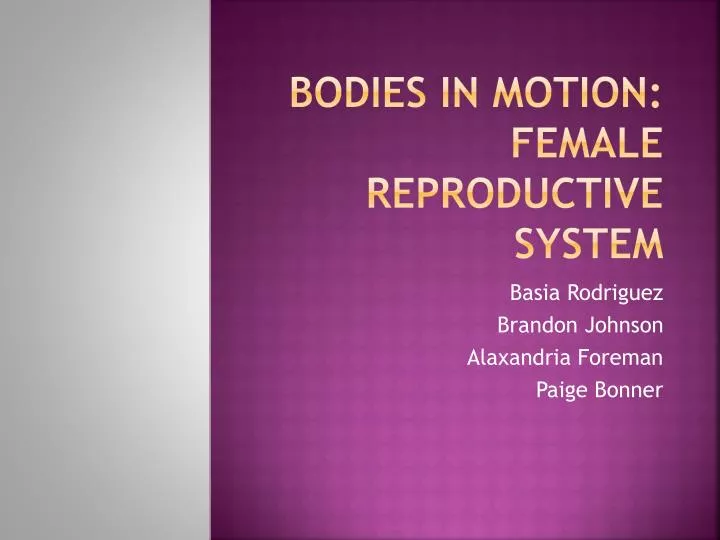 bodies in motion female reproductive system