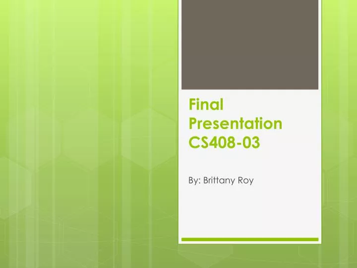 final presentation cs408 03