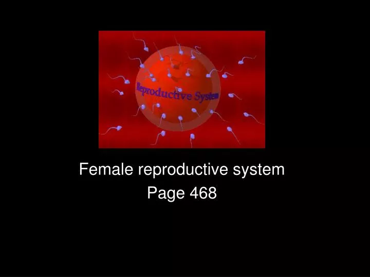 female reproductive system page 468