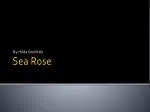 Sea Rose - slide 1