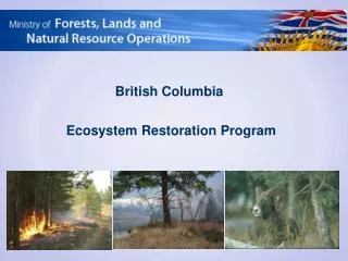 British Columbia Ecosystem Restoration Program