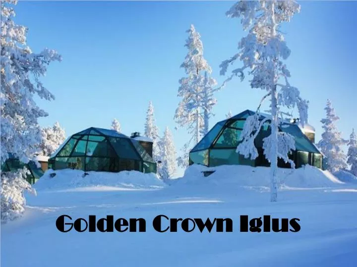 golden crown iglus
