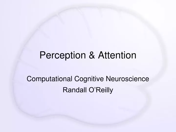 perception attention