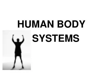 HUMAN BODY 		 SYSTEMS