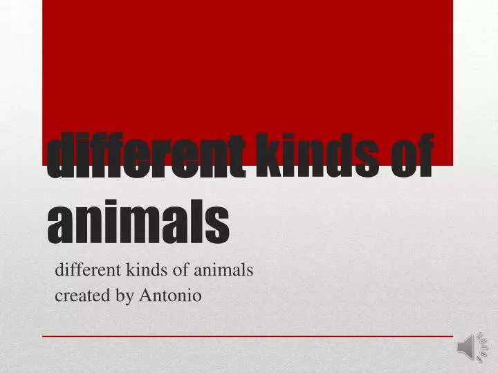 different kinds of animals