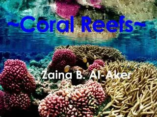 coral reefs