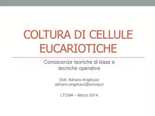 coltura di cellule eucariotiche