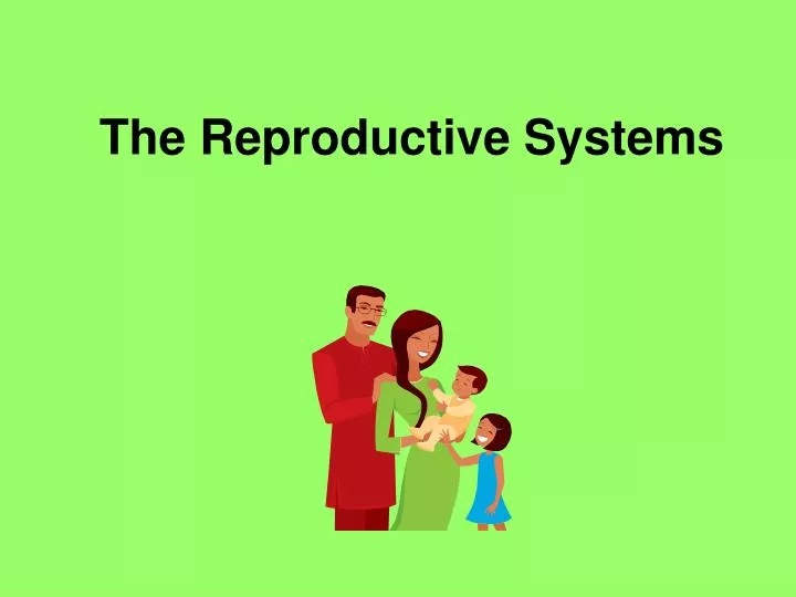 the reproductive systems