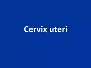 Cervix uteri