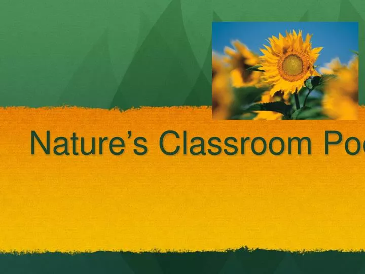 nature s classroom poetry unit