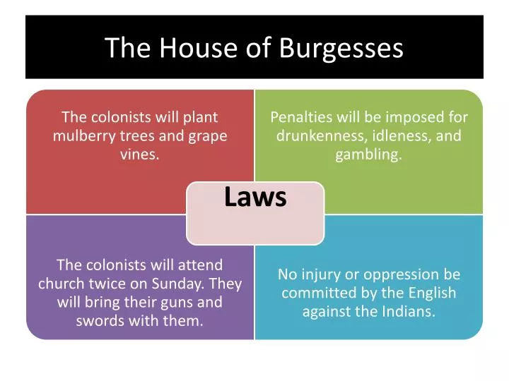 the house of burgesses