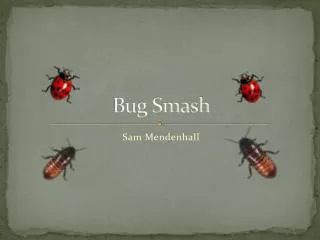 Bug Smash