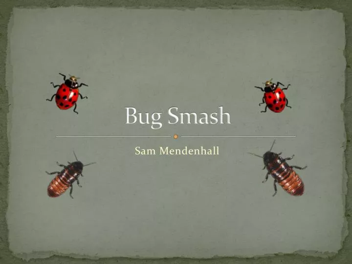 bug smash