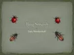 Bug Smash - slide 1