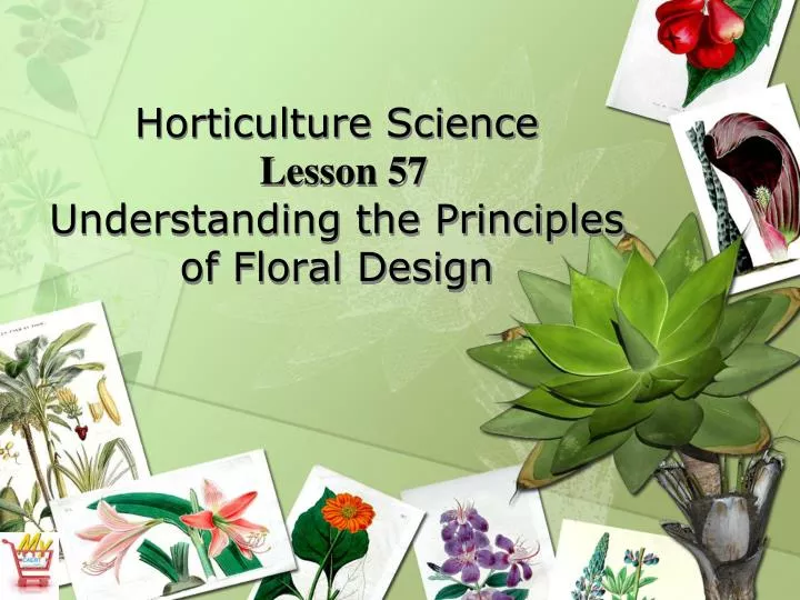 horticulture science lesson 57 understanding the principles of floral design